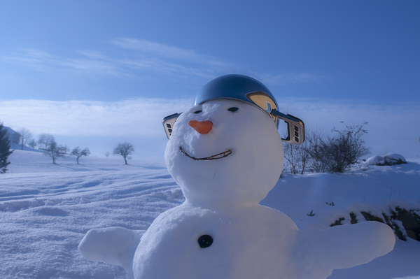 snowman 590386 1920
